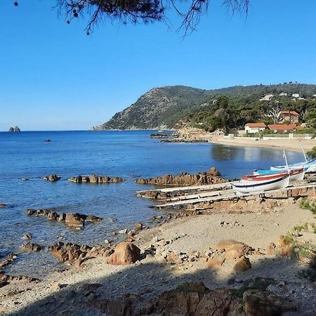 Les Bois Flottes . Plage De La Verne La Seyne-sur-Mer Exterior photo